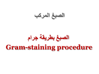 Section 4 gram staining.ppt.pdf